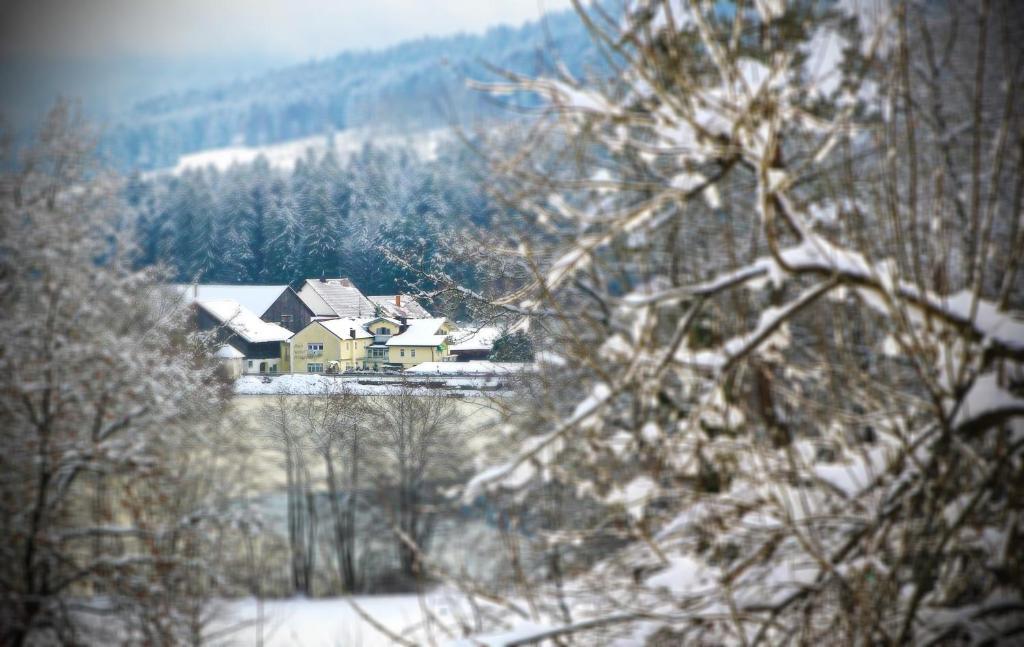 האוצנברג Hotel Der Seehof מראה חיצוני תמונה