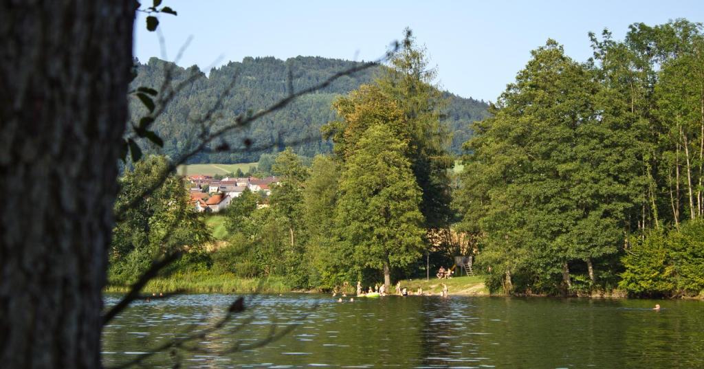האוצנברג Hotel Der Seehof מראה חיצוני תמונה